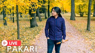 Pakari - Andean Dance Music. Part 2