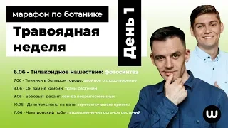 ФОТОСИНТЕЗ | ЕГЭ Биология 2020 | Даниил Дарвин | Вебиум