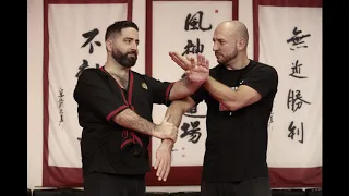 Demo of Wing Tsun Kung fu - HKWTA Norway - Sifu Gabriele Lombardo