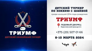 9.03.2024. ТРИУМФ. 2014. М9. Динамо-Джуниверс - Пираньи