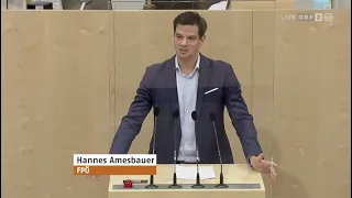 Hannes Amesbauer - Nein zum EU-Zentralismus (EU-Zukunftskonferenz) - 19.5.2022