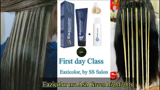 Eazicolor Ash Green highlights / Green highlights eazicolor. // Ash green highlights on black hair