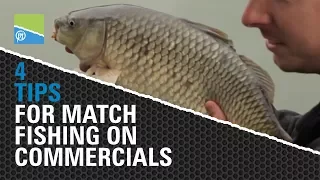 4 Essential Tips for Match Fishing on Commercials
