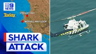 Search for surfer continues after believed shark attack | 9 News Australia