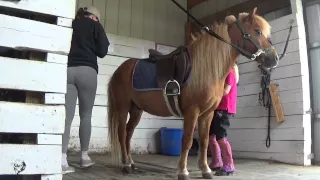 Lexie's Life: Day at the barn, How to saddle your pony