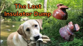 Lost insulator dump found! | The Glass Digtective #harrydigs #lostandfound