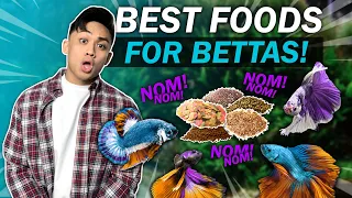 How to Choose the Best Foods for Betta Fish! | ULTIMATE BETTA FISH GUIDE