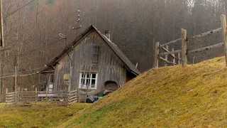 Edge of Wilderness: Survival And Happy Family Life in Secluded Mountains