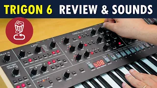 Trigon 6 Review // Sequential's take on an old, monster soul: a 3 VCO, ladder filter polysynth