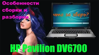 Собираем ноутбук HP DV6700! Особенности конструкции и советы по разборке.