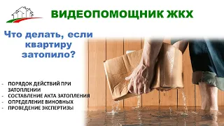 Что делать если квартиру затопило?