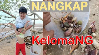 MENANGKAP KELOMANG JUMBO DI PANTAI DAPAT BANYAK @RayyenStoryKelomang