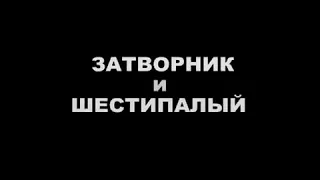 Затворник и Шестипалый