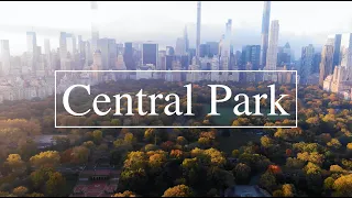 Central Park Peak Fall 5k drone