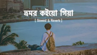 ভ্রমর কইয়ো গিয়া [ Slowed & Reverb ] Bhromor Lofi // Surojit // Radharaman Dutta // Zihans Lofi