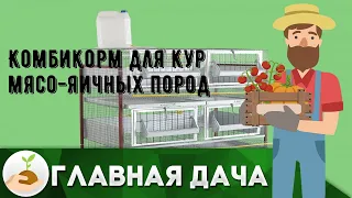 Комбикорм для кур мясо-яичных пород