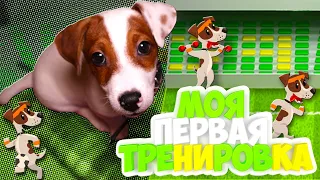 ЛОКИ БОБО моя первая тренировка 🎾 Играю с мячом 🐾 Влог - 13 серия