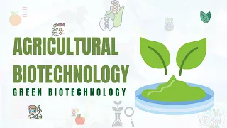 Green Biotechnology: Agricultural Biotechnology For A Sustainable Future