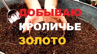 Добываю кроличье золото/Жить в деревне