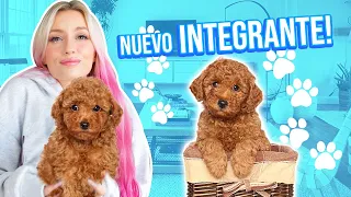 RESCATAMOS UN PERRITO Y LO ADOPTAMOS!!! 😱🐶💕 | 17 Ago 2021