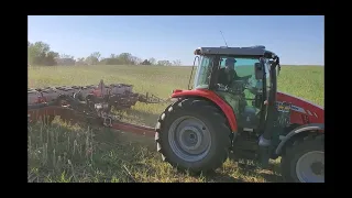 Planting into cover crop. Massey Ferguson 5712SL pulling White planter. Planting beans.