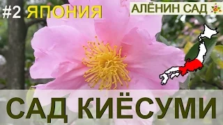 ЯПОНИЯ Японский сад Киёсуми в Токио