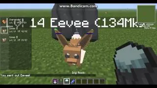 Pixelmon How to evolve eevee into Leafeon and Glaceon