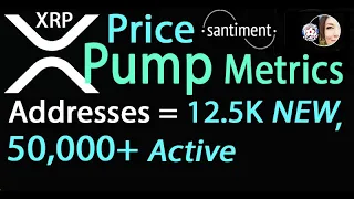 Professional XRP Metrics on Price & What Happened Feb 1st? 12.5K New Addresses, 50,000+ Participated