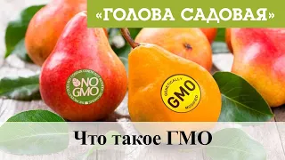 Голова садовая - Что такое ГМО