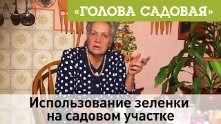 Голова садовая - Использование зеленки на садовом участке