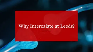 Why Intercalate at Leeds? | University of Leeds