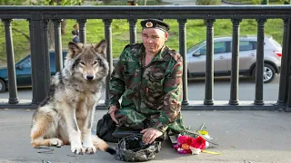 Дружина кинула чоловіка-офіцера напризволяще! І лише вовк допоміг йому вижити!