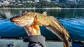 Columbia River Winter BURBOT Fishing (Catch, Clean, Cook)