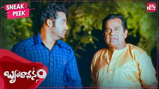 Brindavanam Lo Brahmanandam | Jr NTR | Samantha | Kajal Aggarwal | Telugu | Full Movie On SUN NXT