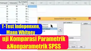 Uji Komparasi Parametrik dan nonparametrik || SPSS normalitas, homogenitas, T test, Mann Whitney