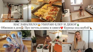 НАС ЗАВАЛИЛО😱• КУРИЦА ПОД ШУБОЙ🍗• ОБНОВКИ В ДОМ🏠• УБИРАЮ ЕЛКУ И ДЕКОР🎄•ПРО МЕЧТЫ,ПЛАНЫ И КНИГИ❤️