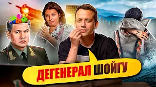 Бʼються за шишки та їдять мишей | Упс, а що трапилось? #42