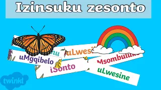 Days of the week in Isizulu | Izinsuku zeSonto | Isizulu learning