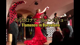バルセロナで最高のフラメンコショー　Flamenco in Barcelona