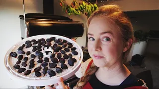 Drying Italian Prunes At Home