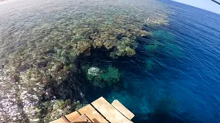 Рыбалка в Египте. Хургада - Марса Алам. Красное море. Red Sea Fishing