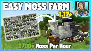 Minecraft EASY Moss Farm Tutorial! 1.17+ (2700+ Moss Per Hour)