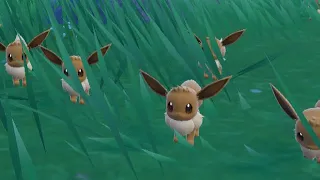 Pokémon Violet - Eevee mass outbreak