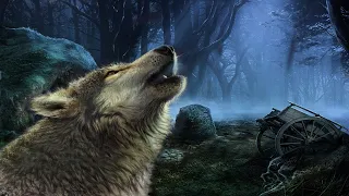 Shadow Wolf Mysteries. Проклятие полной луны. Луиза