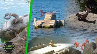 TOP 5 - Mermaid Caught On Tape / camera in the real life (fake?) - JJPD Paranormal 2022