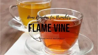 Home Remedies for Bronchitis -Flame Vine can cure Bronchitis Naturally