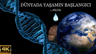 DÜNYADA YAŞAM NASIL BAŞLADI - 1. BÖLÜM!