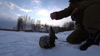 Выезд на проверку поставушек. ЕСТЬ НАЛИМ!!! Пополнение в хозяйстве.