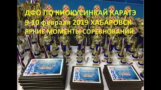 ДФО по Киокусинкай каратэ Хабаровск 2019