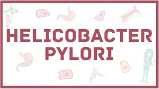 Helicobacter pylori - хеликобактер - симптомы, диагностика, лечение, микробиология